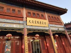 -天龙宝严素食馆(大兴善寺店)