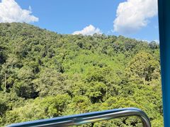 -野象谷景区