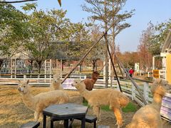 -盈香心动乐园