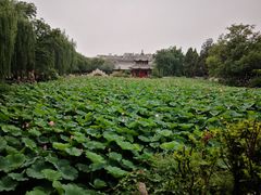 -莲池书院博物馆