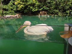 -珠海长隆海洋王国