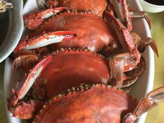 -山东八大碗山东老字号