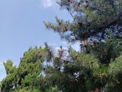 -大钟寺古钟博物馆