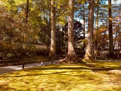 -三千院