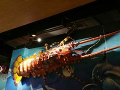 -家乐比水文化休闲广场(望花都店)