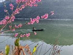 -后柳水乡