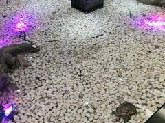 -宝燕海鲜(好爱店)