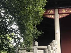 -万泊酒店(长沙五一广场国金中心店)