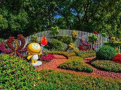 -上海共青森林公园