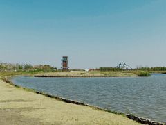 -春花秋色城市公园