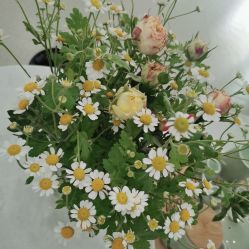 -SOR索尔祛痘·面部肌肤管理