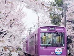 -富士山吉田線五合目
