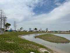 -春花秋色城市公园