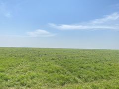 -鄱阳湖国家湿地公园