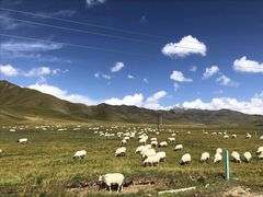 -扁都口生态休闲旅游区