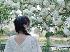 -堤角公园