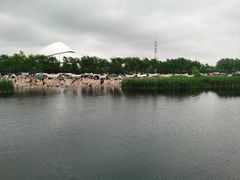 -哈尔滨大剧院