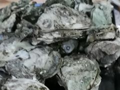 -蚝得喜海鲜(东城店)