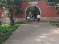 -灵谷景区