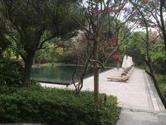 -和顺柏联温泉