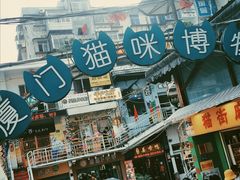 -猫咪博物馆(顶澳仔猫街店)