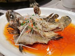 -厦门渔港(成山路店)