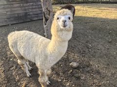 -祥源·阜阳生态乐园