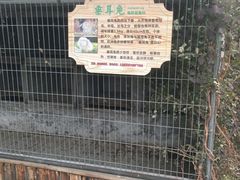 -晶宝温泉农庄