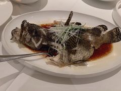 清蒸石斑鱼-鱼乐轩(珠江路店)