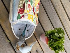 -青石桥花鸟鱼虫市场(叠翠城店)