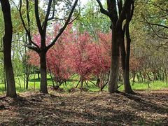 -南京市江宁方山