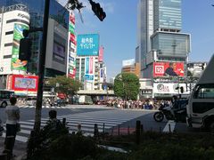 -涩谷区