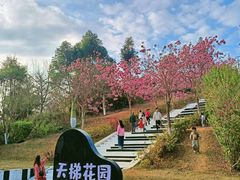 -盈香心动乐园