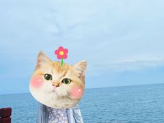 -三亚西岛海洋文化旅游区