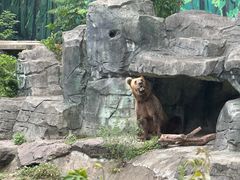 -宁波野生动物园