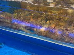 -海底捞火锅(长宁路龙之梦店)