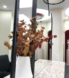 -IP SALON