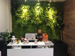 -引领英语·成人口语·雅思托福