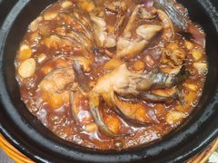 -煎饼卷大葱(春秋西路店)