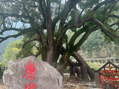 -畲乡一品鱼府土菜馆