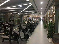 -金吉鸟健身游泳