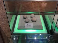 -大连自然博物馆·地球展厅