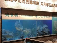 水产区-淘米捞·米汤脆鲩鱼火锅(福田皇岗店)