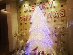 -西安阳光国际大酒店·中餐厅