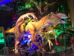 -恐龙探索乐园(磁器口店)