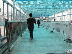 -武汉关码头(轮渡站)