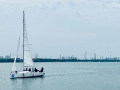 -漕湖湿地公园