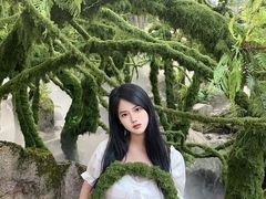 -洛阳白云山景区