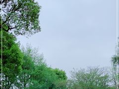 -拙政园