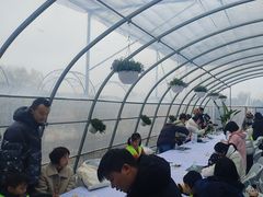-嘉北郊野公园